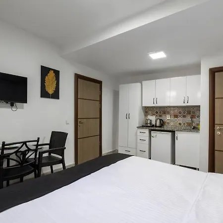 Apartment Cozy & Comfy Studio At Beyoglu - 5 Istanbul